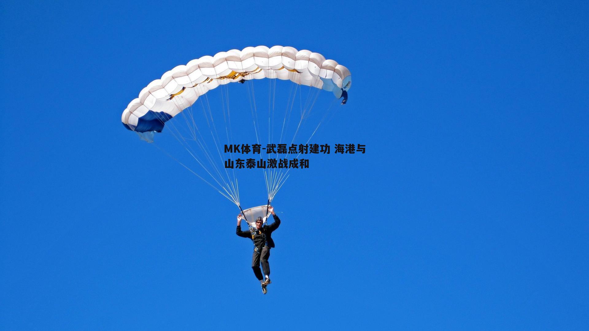 MK体育-武磊点射建功 海港与山东泰山激战成和-第1张图片-MK体育